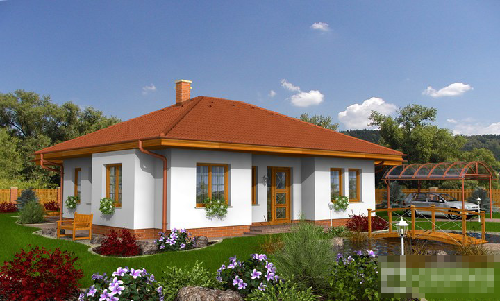 Скачать готовый проект одноэтажного дома, чертежи и фото одноэтажного дома - фото 1